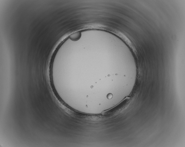 X0000112350947200909101040