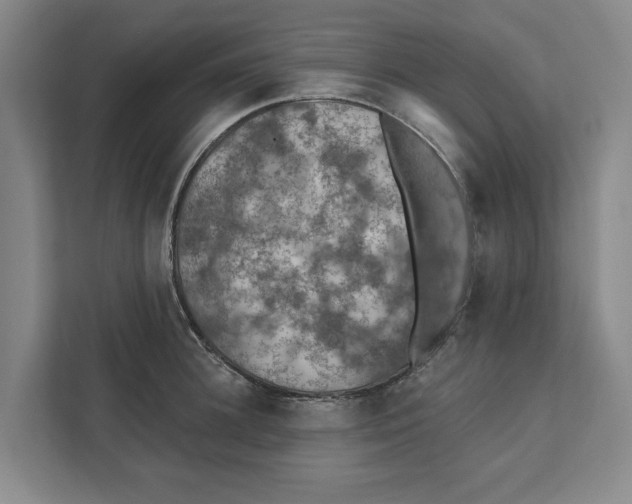 X0000112350948200909101040