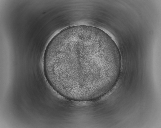 X0000112350949200909101040