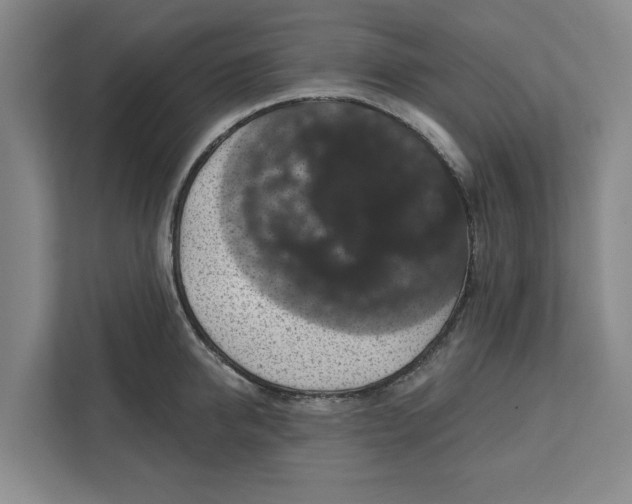 X0000112350950200909101040