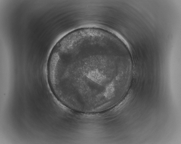 X0000112350951200909101040