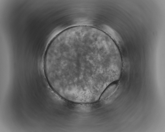 X0000112350952200909101040