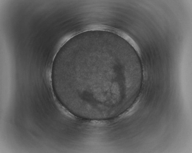 X0000112350954200909101040