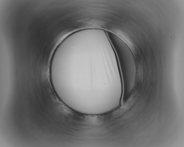 X0000112350956200909101040