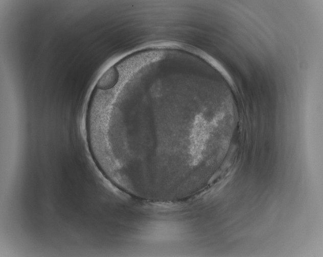 X0000112350959200909101040