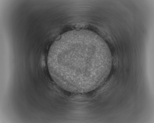 X0000112350962200909101040