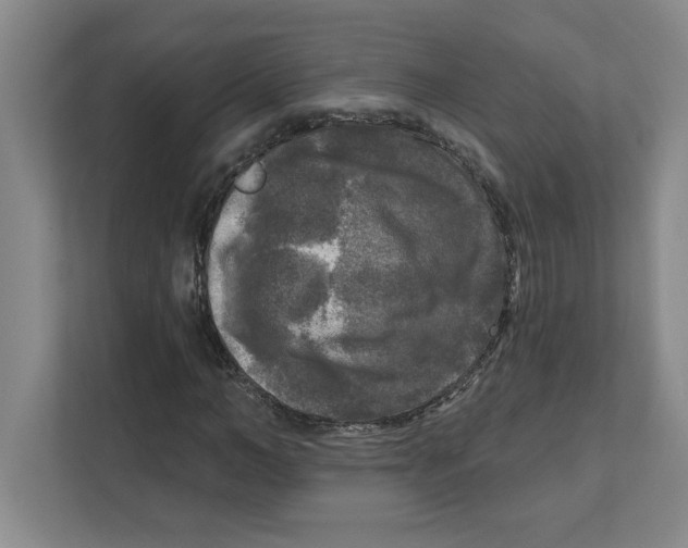 X0000112350966200909101040