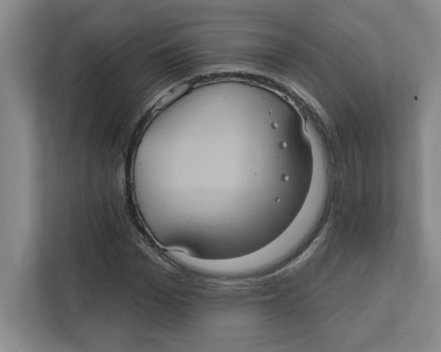 X0000112350969200909101040