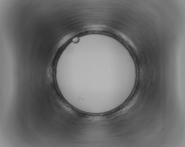 X0000112350970200909101040