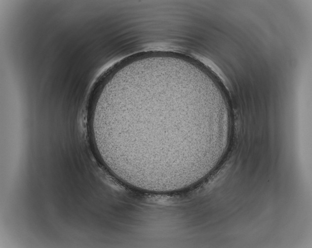 X0000112350971200909101040