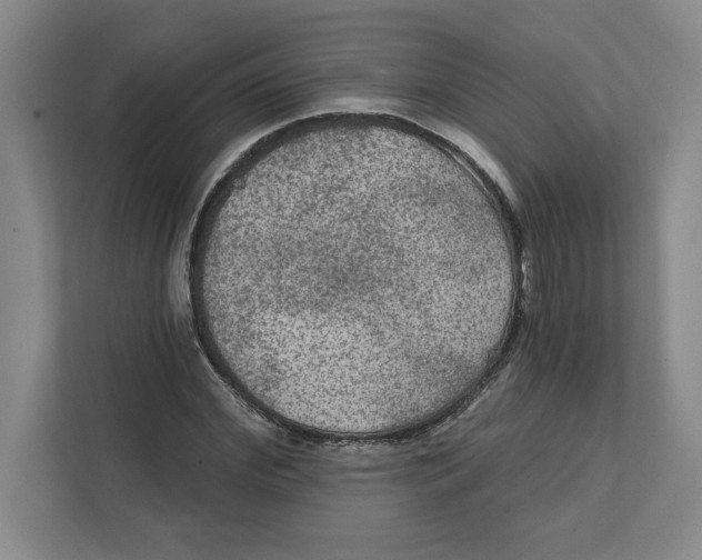 X0000112350972200909101040