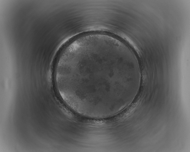 X0000112350975200909101040