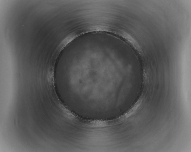 X0000112350977200909101040