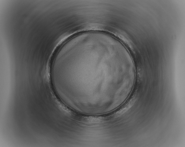 X0000112350981200909101040