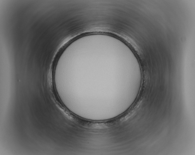 X0000112350982200909101040