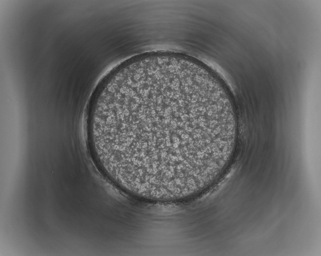 X0000112350983200909101040