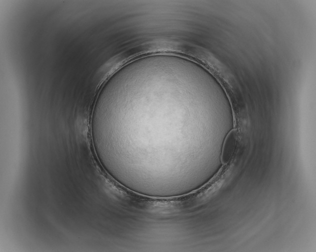 X0000112350985200909101040