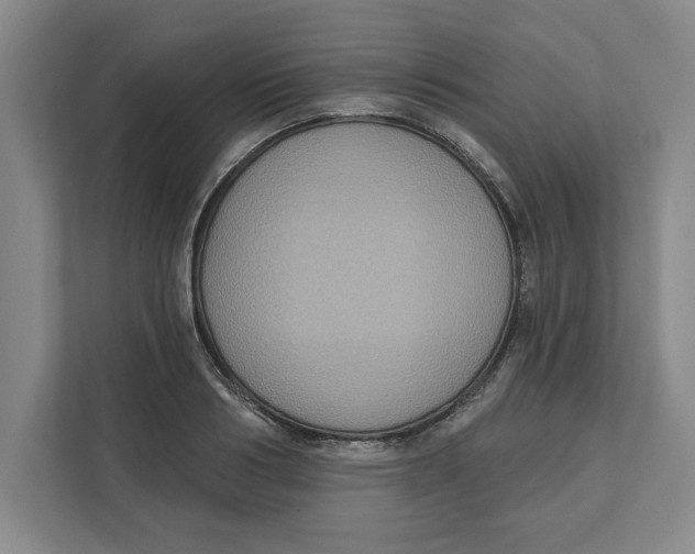 X0000112350986200909101040