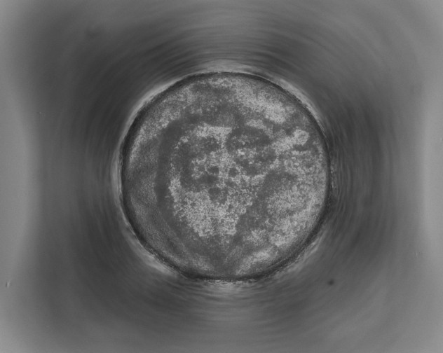 X0000112350987200909101040