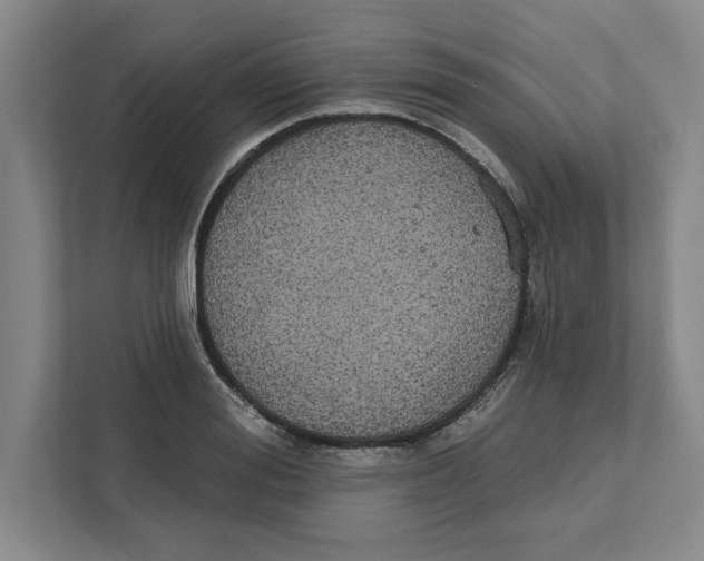 X0000112350988200909101039