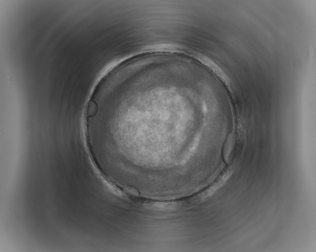 X0000112350989200909101039