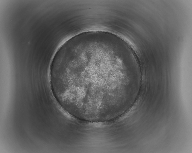 X0000112350990200909101039