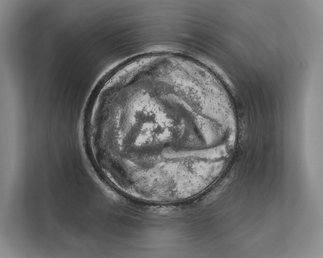 X0000112350991200909101039