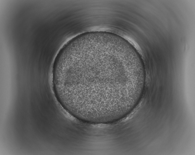 X0000112350992200909101039