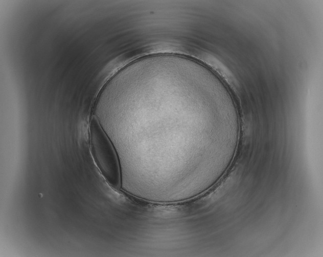 X0000112350993200909101039