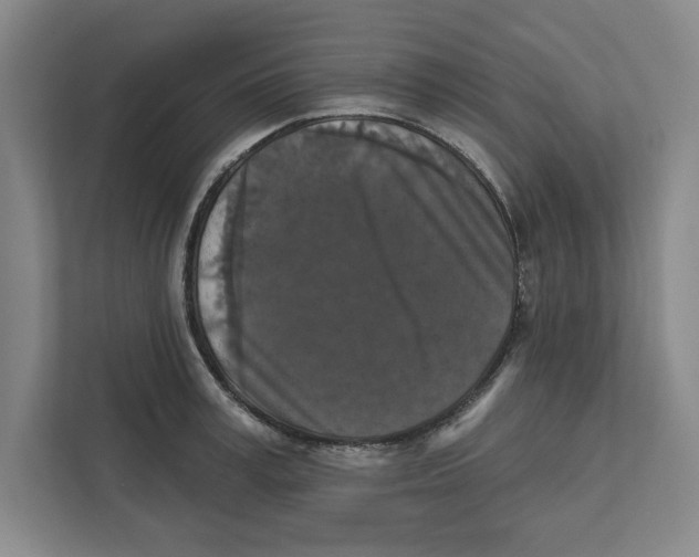 X0000112350995200909101039