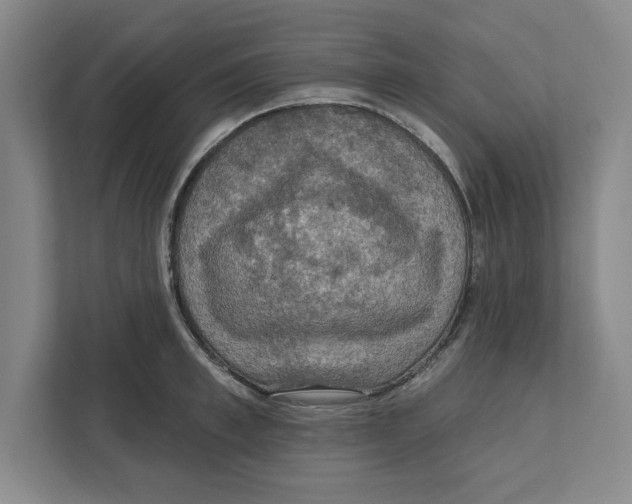 X0000112350997200909101039