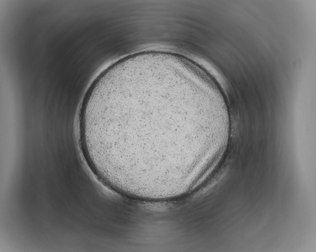 X0000112350999200909101039