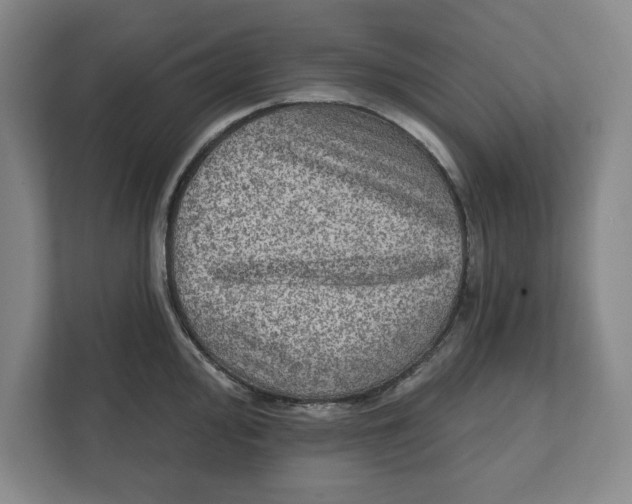 X0000112351000200909101039