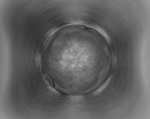 X0000112351001200909101039