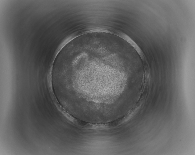 X0000112351002200909101039