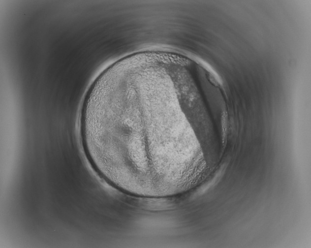 X0000112351007200909101039