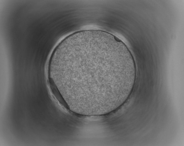 X0000112351008200909101039