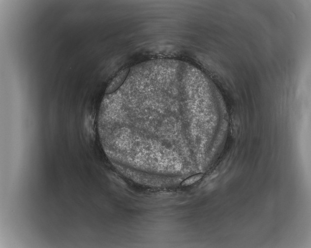 X0000112351010200909101039