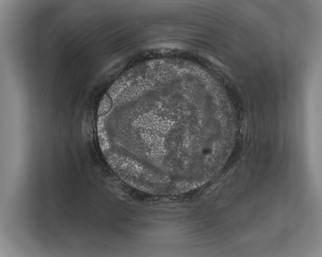 X0000112351014200909101039