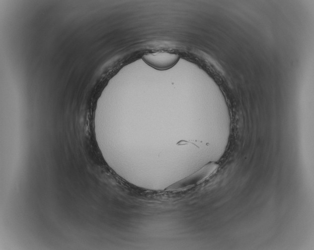 X0000112351016200909101039