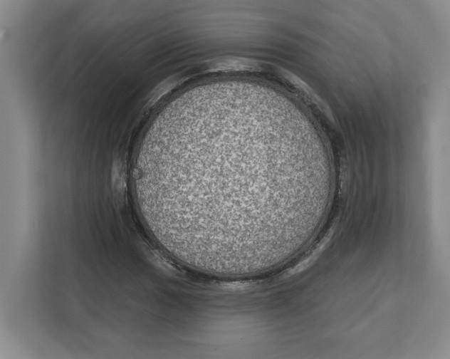 X0000112351017200909101039