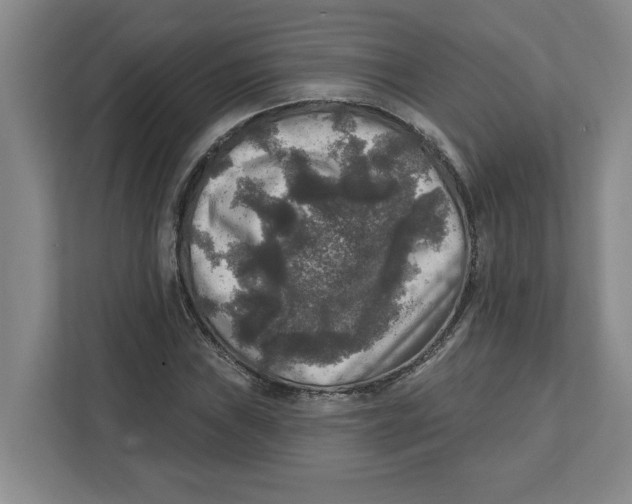 X0000112351019200909101039