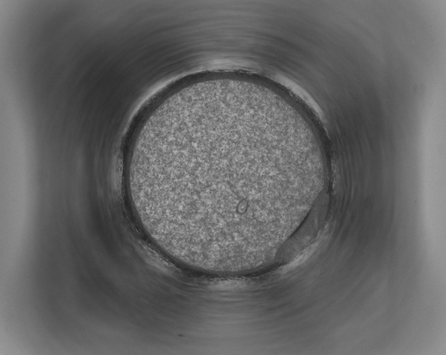 X0000112351021200909101039