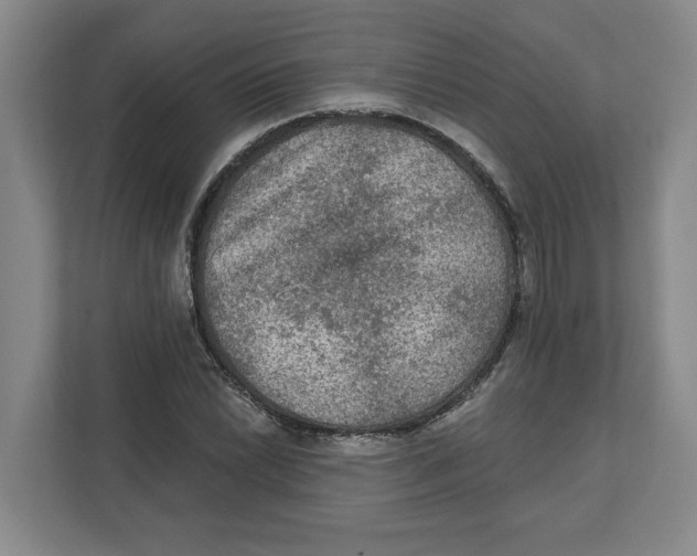 X0000112351022200909101039