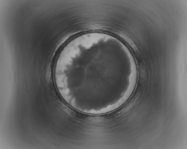 X0000112351023200909101039