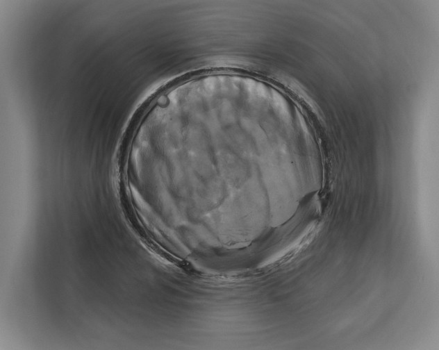 X0000112351024200909101039