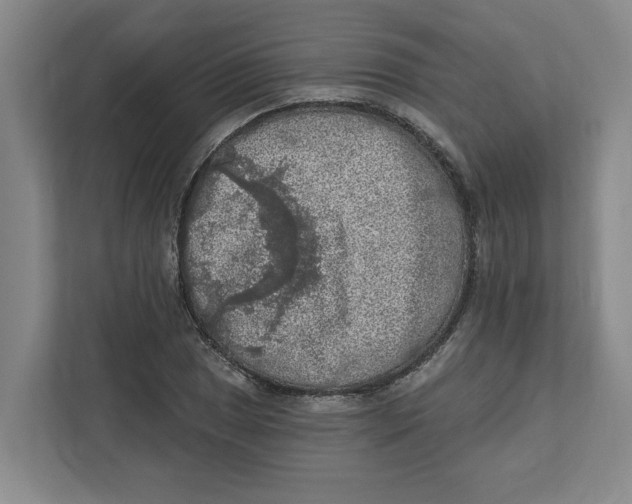 X0000112351025200909101039