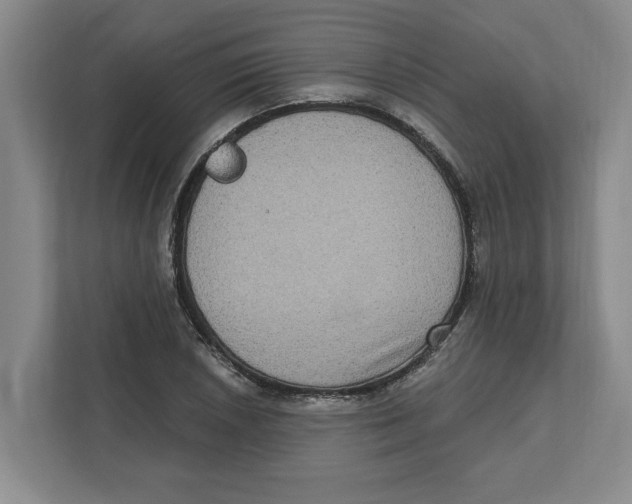 X0000112351026200909101039