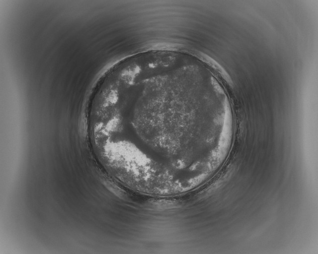 X0000112351027200909101039