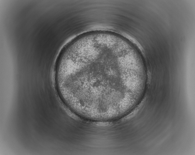 X0000112351029200909101039